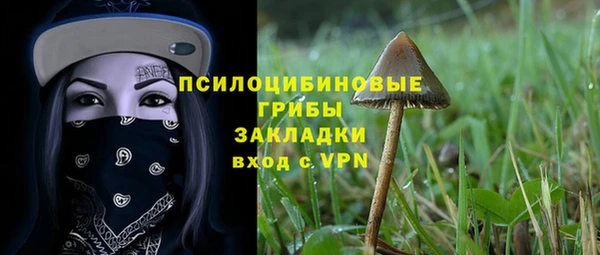 шишки Абдулино