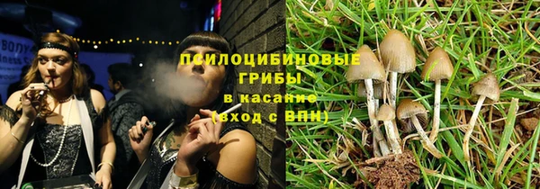 шишки Абдулино